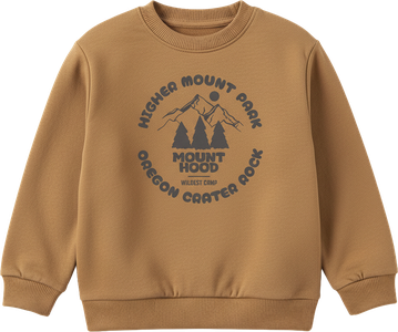 SUDADERA PARK LSN