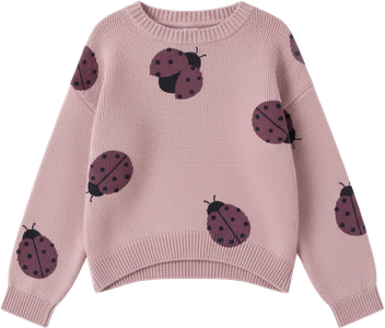 JERSEY ROSA LSN